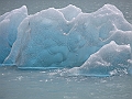 Patagonie 203
